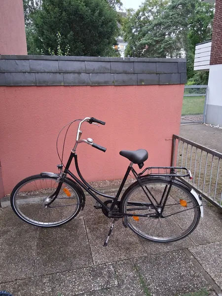 Damen Holland Fahrrad 28 Zoll 