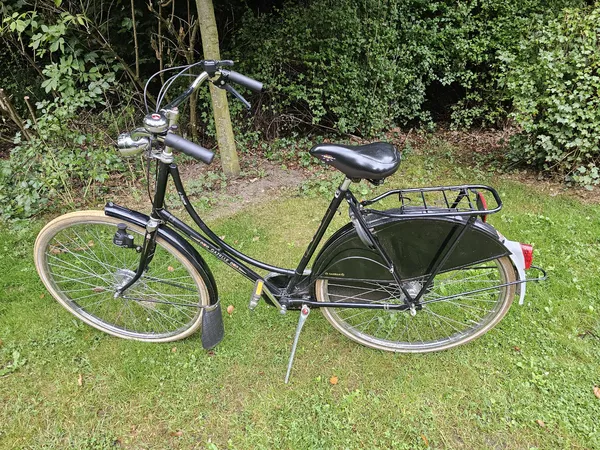 Seitenansicht