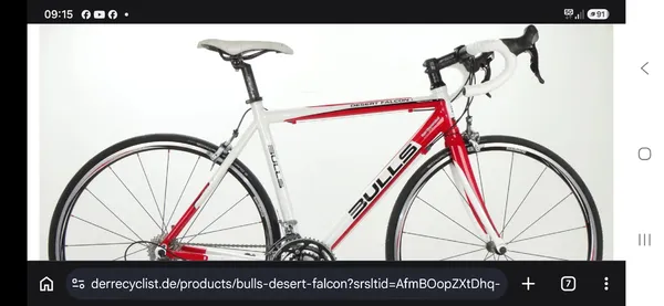 Bulls Desert Falcon Rennrad
