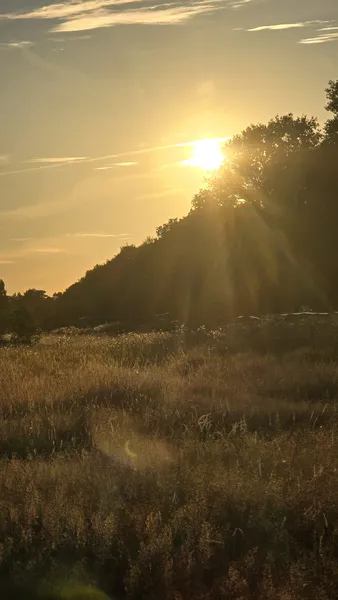 Natur