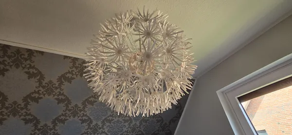 Pusteblume