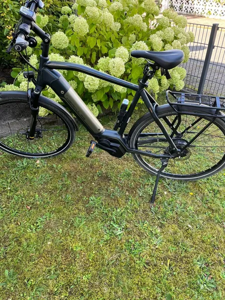Ebike