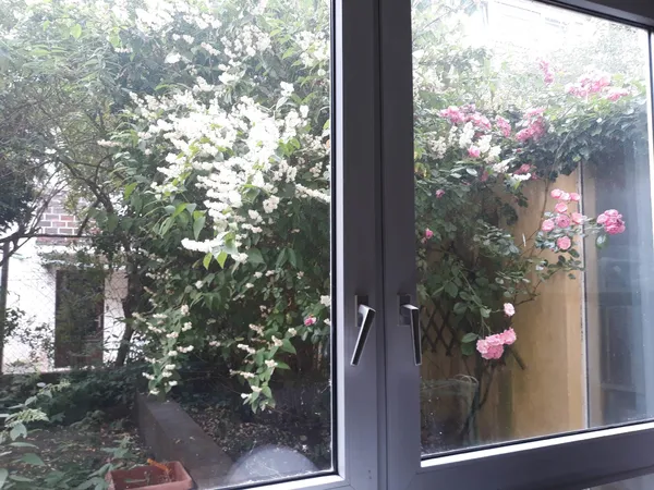 blick auf Garten
