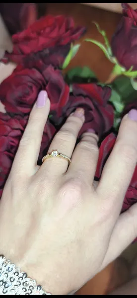 So sieht der Ring aus