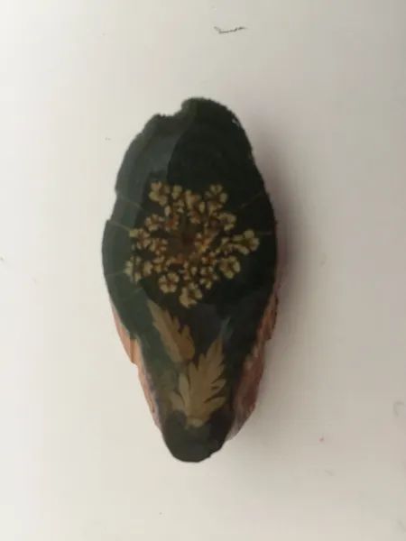 Außergewöhnliche Accessoires 