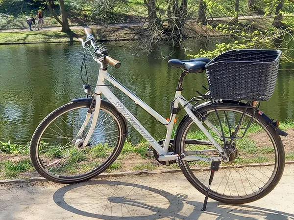 Fahrrad Steppenwolf 