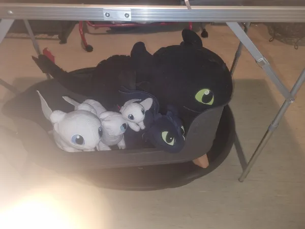 Hundekörbe und Kuscheltiere 