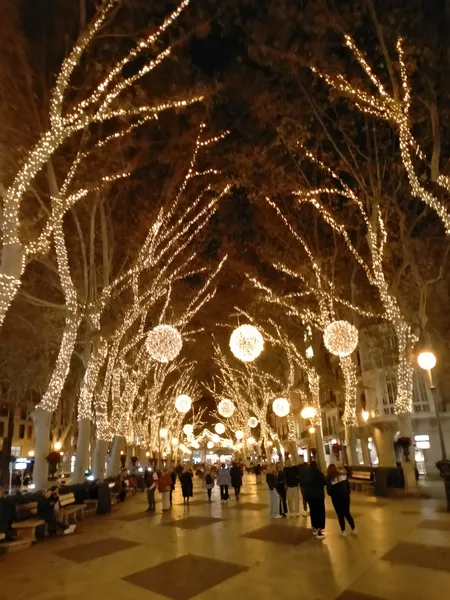 Palma